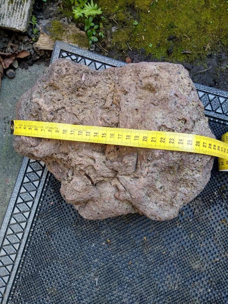 lavarotsen, Dieren en Toebehoren, Vissen | Aquaria en Toebehoren, Nieuw, Plant(en), Steen of Hout, Ophalen