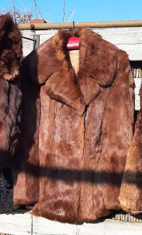 Korte NERTS Bontjas - Maat M/L – Middel-bruin, Kleding | Dames, Jassen | Winter, Zo goed als nieuw, Maat 38/40 (M), Bruin, Ophalen of Verzenden