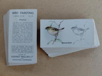 Bird Painting complete set 50 chromos vogels 1938 beschikbaar voor biedingen