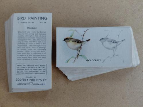 Bird Painting complete set 50 chromos vogels 1938, Verzamelen, Foto's en Prenten, Dier, Voor 1940, Ophalen of Verzenden