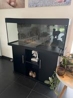 Aquarium Jewel met meubel 240 liter zwart met extra’s, Dieren en Toebehoren, Ophalen, Gebruikt, Leeg aquarium