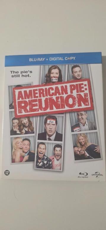 American Pie: Reunion  beschikbaar voor biedingen