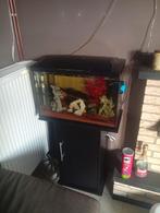 Aquarium met toebehoren, Dieren en Toebehoren, Ophalen, Zo goed als nieuw