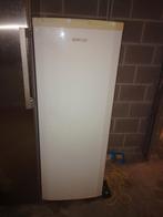 Grote ijskast, Elektronische apparatuur, Vriezers en Diepvrieskisten, Ophalen