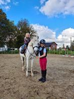 Kinder pony - gezelschapspony, Dieren en Toebehoren, Merrie, B, Gechipt, B pony (1.17m tot 1.27m)