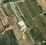 Bloemen en planten bedrijf, Lagoa, Algarve, Portugal, Enlèvement, 1 à 5 ha, Entreprise d'horticulture