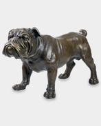 Groot Zwaar Bronzen Beeld van een Engelse Bulldog GRATIS LEV, Verzenden, Brons