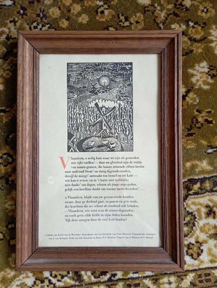 427) Voor de vlaamsgezinde medemens ( Masereel , Woestijne ), Antiek en Kunst, Kunst | Litho's en Zeefdrukken, Ophalen of Verzenden