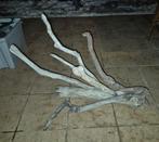 Houtwortels van het aquarium, Ophalen