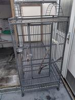Papegaai- of parkietenkooi, Dieren en Toebehoren, Vogels | Hokken en Kooien, Ophalen, Zo goed als nieuw