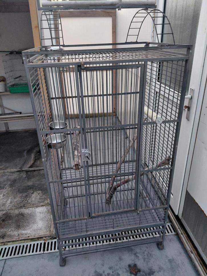 Papegaai- of parkietenkooi, Dieren en Toebehoren, Vogels | Hokken en Kooien, Zo goed als nieuw, Ophalen