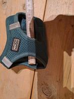 Puppy harnasje, Dieren en Toebehoren, Hondenriemen, Ophalen