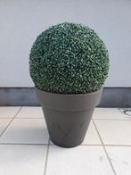 Elho bloempot pure round 50 Antraciet met kunstbuxus., Enlèvement, Comme neuf