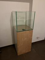 Aquarium met kast 50x50x50, Ophalen, Zo goed als nieuw
