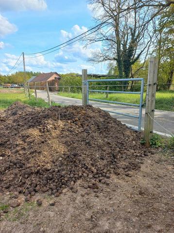 Gratis zuiver paardenmest Herselt - grens Ramsel, Tuin en Terras, Aarde en Mest, Ophalen