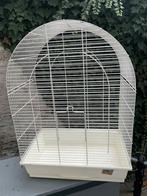 Vogelkooi, Dieren en Toebehoren