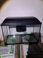 Aquarium van 50 cm met biofilter, Enlèvement ou Envoi, Utilisé, Aquarium vide