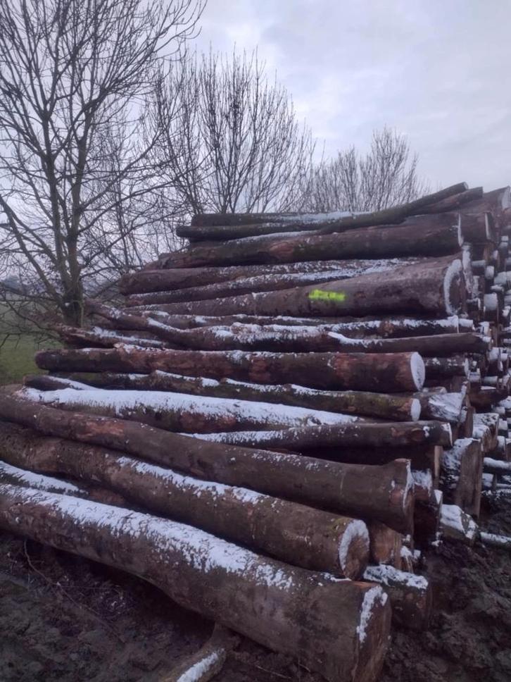 bois de chauffage sec, Bricolage & Construction, Chauffage & Radiateurs, Enlèvement