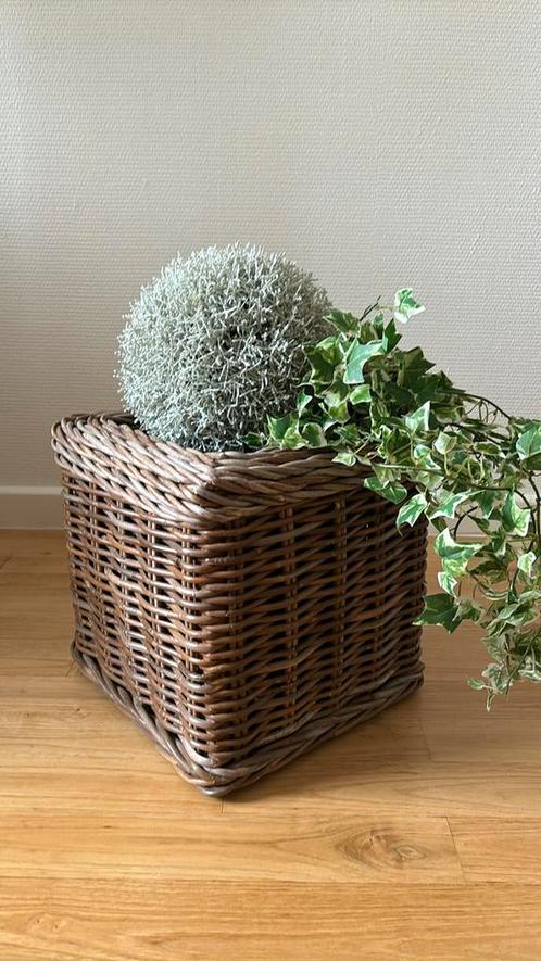 Rotan plantenbak ( nieuw), Tuin en Terras, Bloembakken en Plantenbakken, Zo goed als nieuw, Ophalen