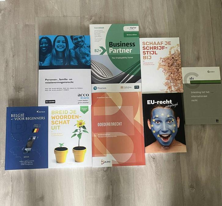 Boeken 1ste bachelor rechtspraktijk hogent (aj 2024/2025), Boeken, Studieboeken en Cursussen, Zo goed als nieuw, Ophalen