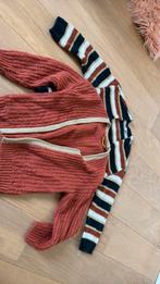 2 mooie warme truitjes maat 116-122, Kinderen en Baby's, Kinderkleding | Maat 122, Ophalen, Meisje, Trui of Vest, JBC