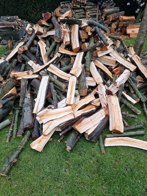 Vers gezaagd en gekliefd brandhout, Tuin en Terras, Brandhout, Blokken, Overige houtsoorten, 6 m³ of meer, Ophalen of Verzenden