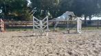 Bomproof 9 jarige ruin, Dieren en Toebehoren, Springpaard, Gechipt, Ruin, 7 tot 10 jaar