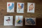 Lot postkaarten met aquarel vogels., Verzamelen, Postkaarten | Dieren, Ophalen of Verzenden, Vogel