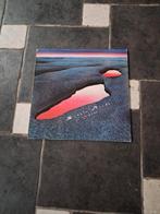 Simple minds, Enlèvement