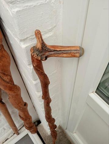 Bochtige houten wandelstok 84 cm beschikbaar voor biedingen