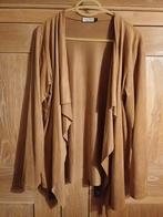2 vestjes maat L . Uitzicht daim., Kleding | Dames, Ophalen of Verzenden, Nieuw, Maat 42/44 (L)