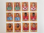 Originele Panini-stickers Fifa World Cup 2022, Ophalen of Verzenden, Zo goed als nieuw, Poster, Plaatje of Sticker