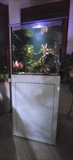 3 maanden oud aquarium aqualife, Ophalen