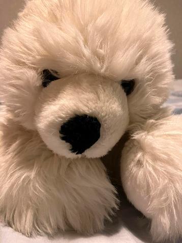 Witte knuffel beer beschikbaar voor biedingen