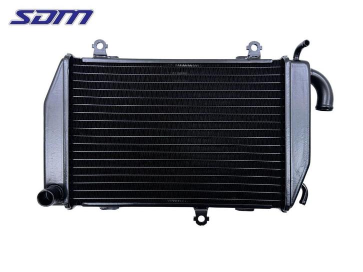 RADIATEUR Honda GL 1800 (01-1970/-) (19060-MCA-A61), Motoren, Onderdelen | Overige, Gebruikt