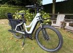Riese & Müller Multicharger Mixte GT Vario - 1155 kms, Fietsen en Brommers, Elektrische fietsen, Ophalen, Zo goed als nieuw, Riese & Müller