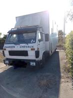Paarden vrachtwagen man 5paarden en mobilhome, Ophalen