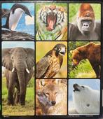 Encyclopédie L’univers fascinant des animaux (Gratuit), Ophalen, Gelezen, Dieren, Autre