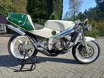 Honda RS 250 NF5, 2 cylindres, Super Sport, 12 à 35 kW, 250 cm³