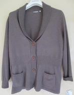 Damestrui cardigan gilet RABE - maat 46/48, Kleding | Dames, Rabe, Bruin, Maat 46/48 (XL) of groter, Ophalen of Verzenden