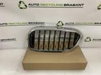 Grill Nier Links BMW 5 Serie G30 G31 M-PAKKET 51137390863, Gebruikt, Ophalen of Verzenden, BMW, BMW