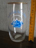 BERGENBIER, Enlèvement ou Envoi, Comme neuf, Verre ou Verres