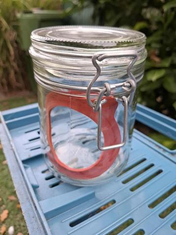 Glazen voorraadpotten.  75 cl. beschikbaar voor biedingen