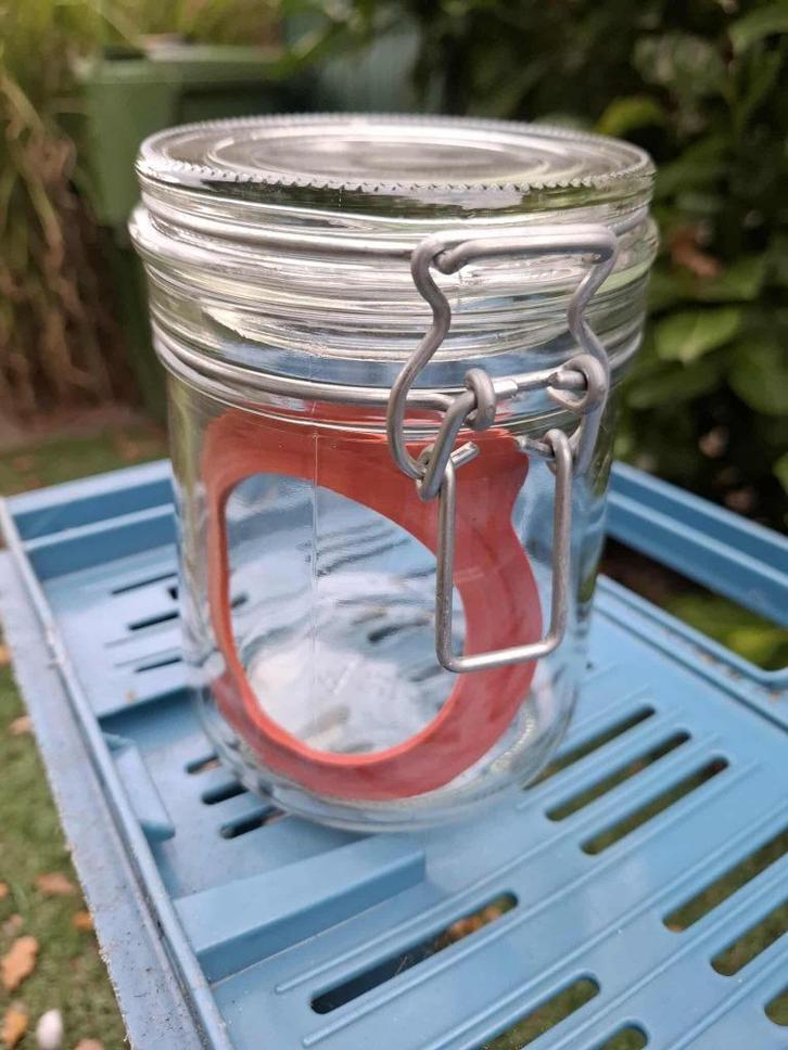 Glazen voorraadpotten.  75 cl., Verzamelen, Glas en Drinkglazen, Zo goed als nieuw, Overige typen, Ophalen