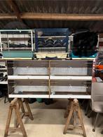 Kweekooien en vogelkooien, Dieren en Toebehoren, Ophalen, Zo goed als nieuw