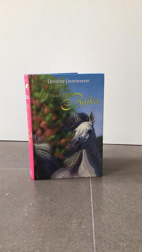 Christine Linneweever - Het vuur van Bajka, Boeken, Kinderboeken | Jeugd | 10 tot 12 jaar, Zo goed als nieuw, Ophalen of Verzenden