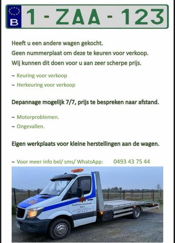 Z-platen depannage garage beschikbaar voor biedingen