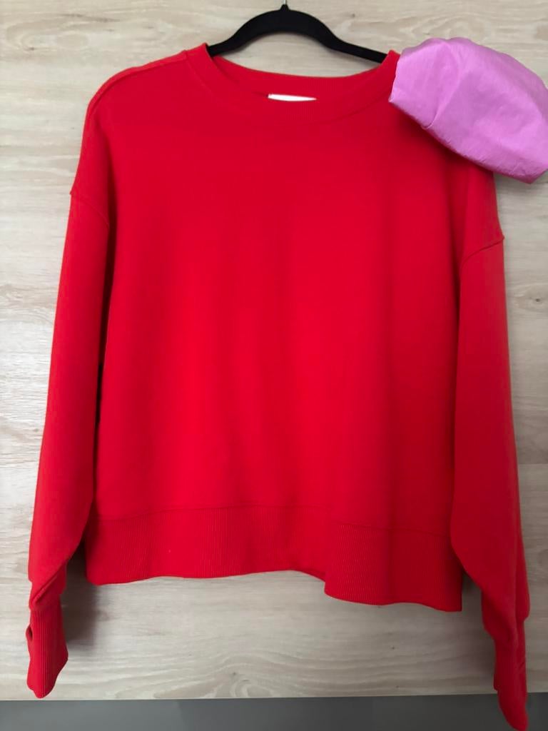 Mt 1(S/M) Essentiel Antwerp dames sweater ( nieuw), Kleding | Dames, Truien en Vesten, Ophalen of Verzenden, Nieuw, Maat 38/40 (M)