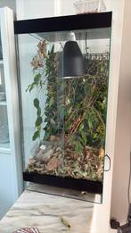 Terrarium voor caméléon, Dieren en Toebehoren, Ophalen, Zo goed als nieuw