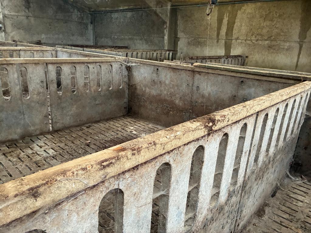 Beton wanden; compartimenten varkensstal, Ophalen